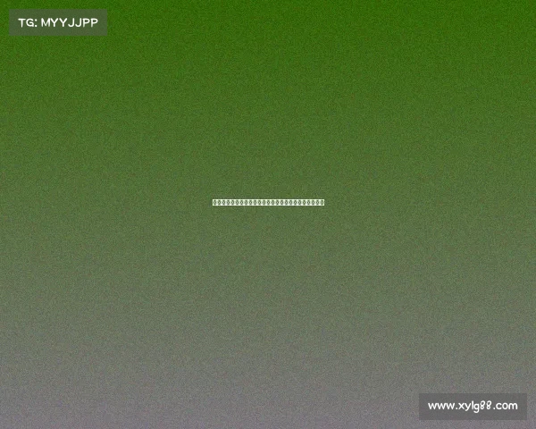 德甲降级球队的挑战与重生之路：探索未来发展的新机遇